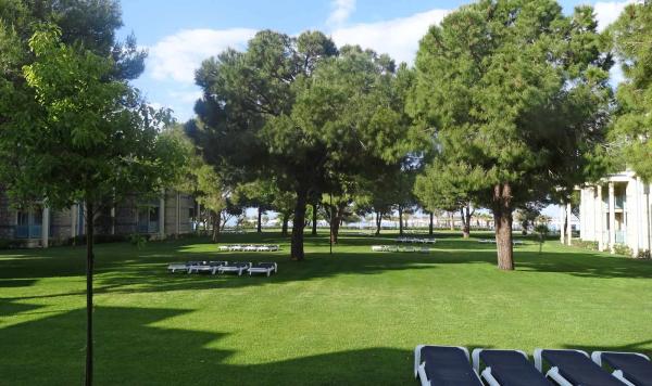 Liegen auf der Wiese