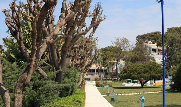 Weg im Robinson Pamfilya